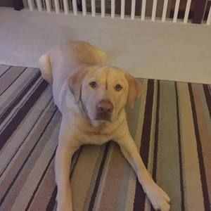 Meet your Posher, Vance